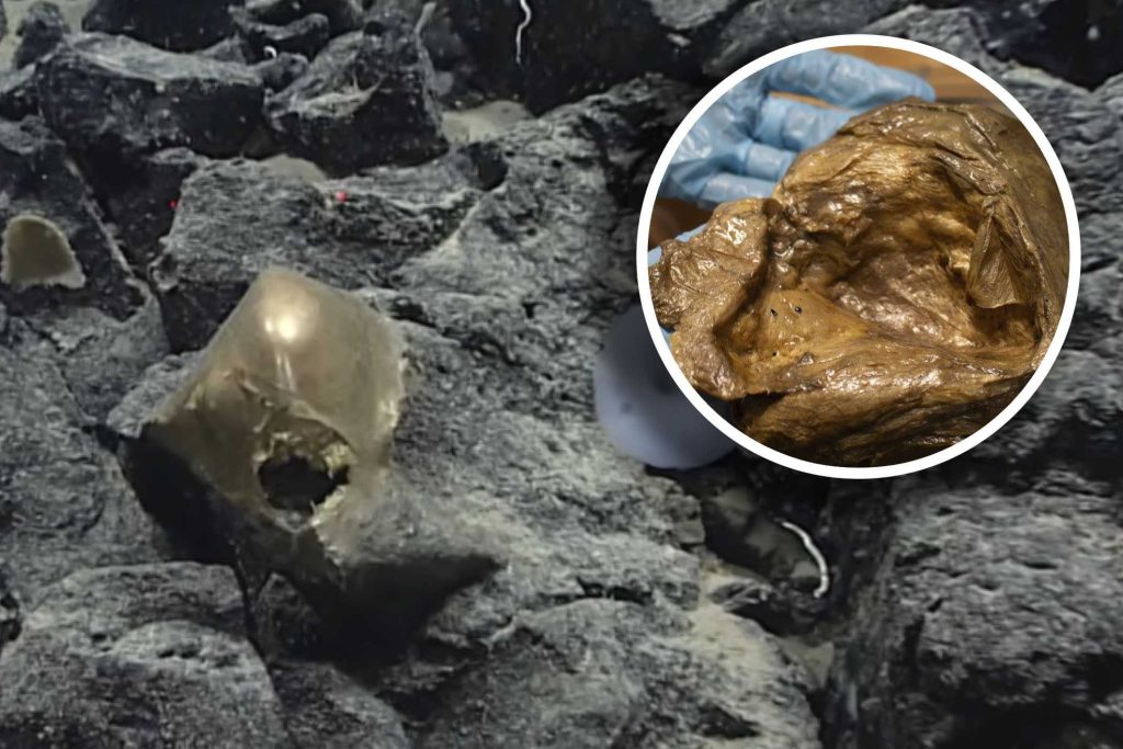 Scientists identify mysterious ‘golden orb’ found on ocean floor – and it’s not an alien egg