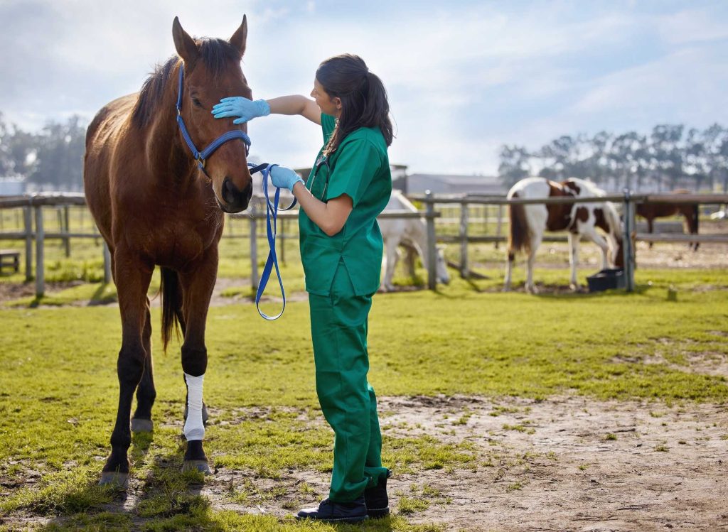 Preakness to again use technology to digitize equine welfare protocols