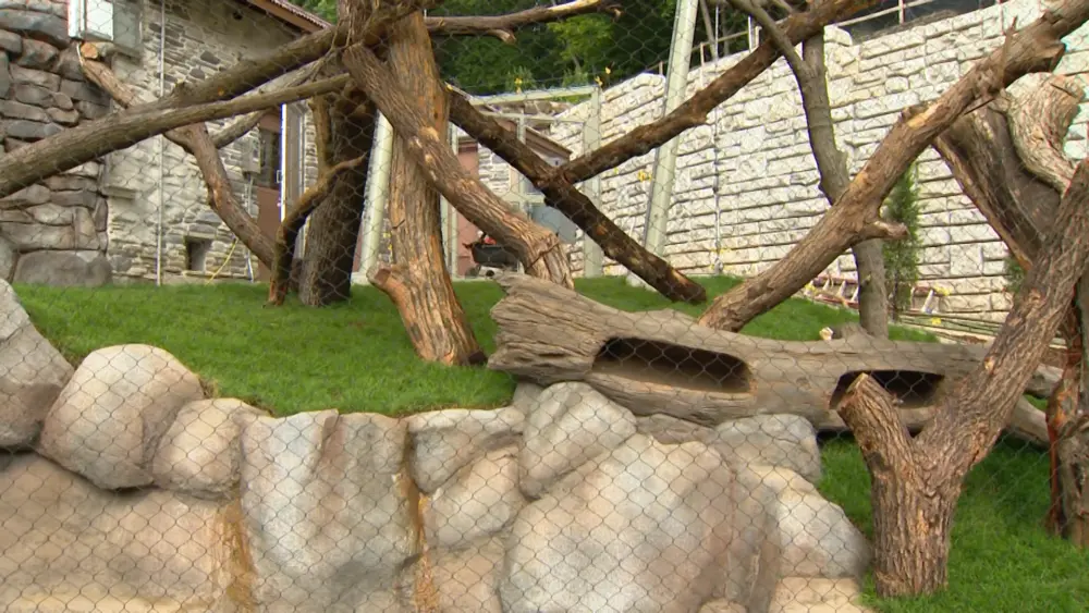 Maryland Zoo in Baltimore opens new red panda exhibit with hidden