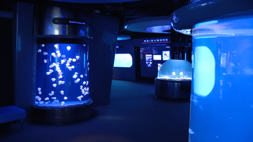 National Aquarium’s Voyages Chapter 8 offers adults-only culinary journey﻿