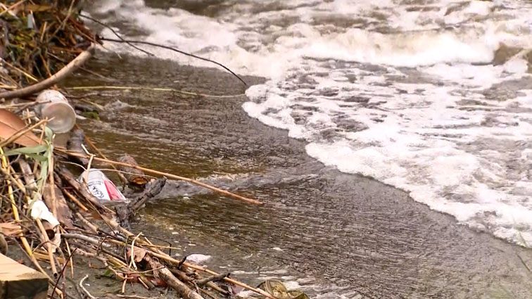 Doctors warn of very serious Vibrio infection spreading in Chesapeake Bay - WBAL News Radio