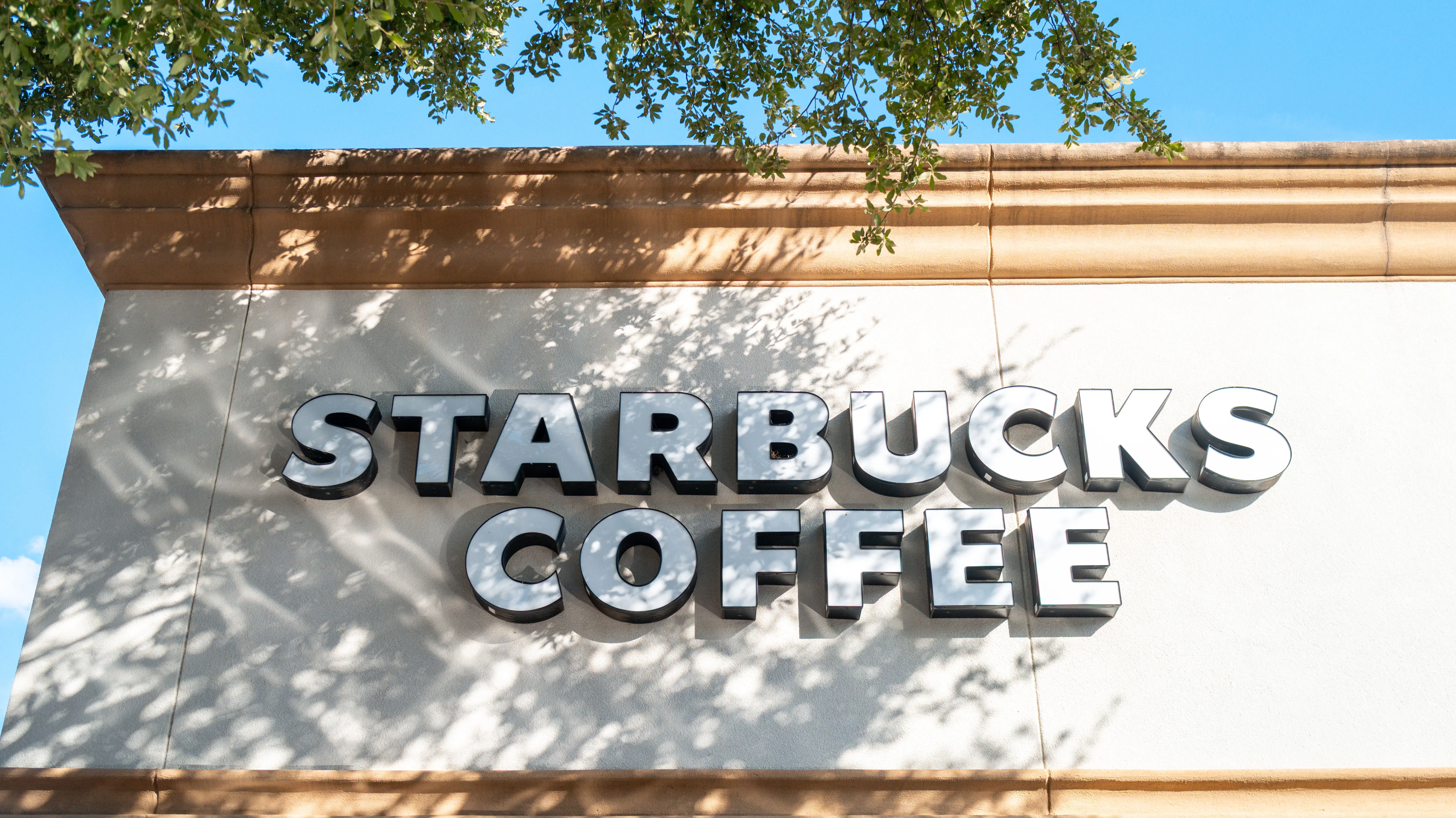 Federal Sugar-Free Labeling Lawsuit Against Starbucks | Compliance Enforcement Creates Beverage Category Opportunity