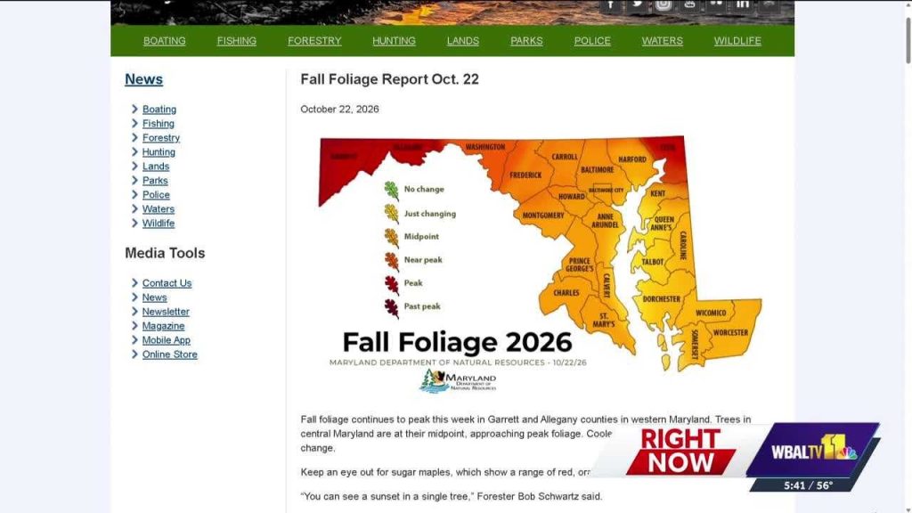 Baltimore County welcomes leaf peepers for fall foliage