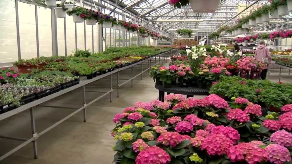 Baltimore County florist to close after 115 years in business