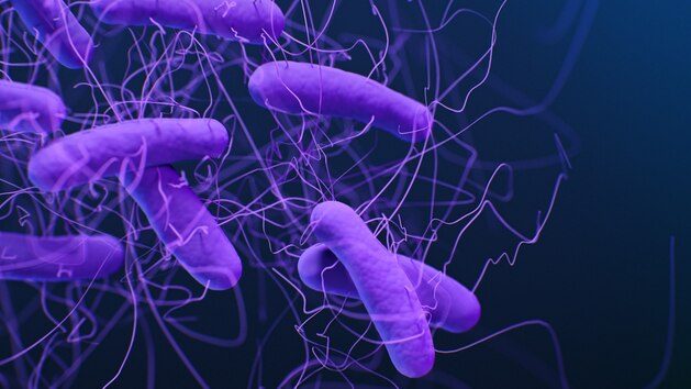 Drug-resistant germs are 'growing threat' to US, causing more than 50,000 deaths annually: CDC