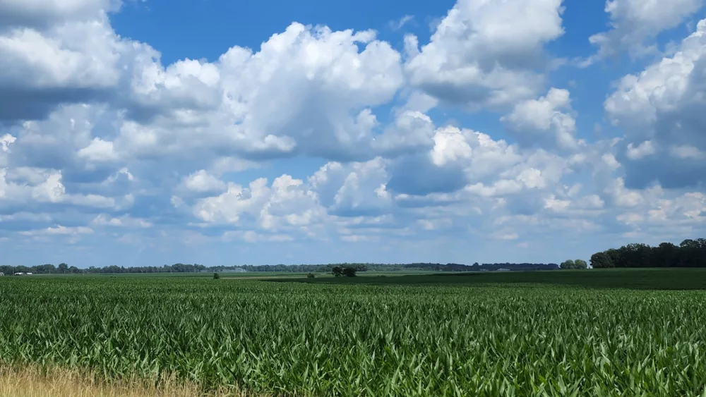 clouds-and-corn.jpg