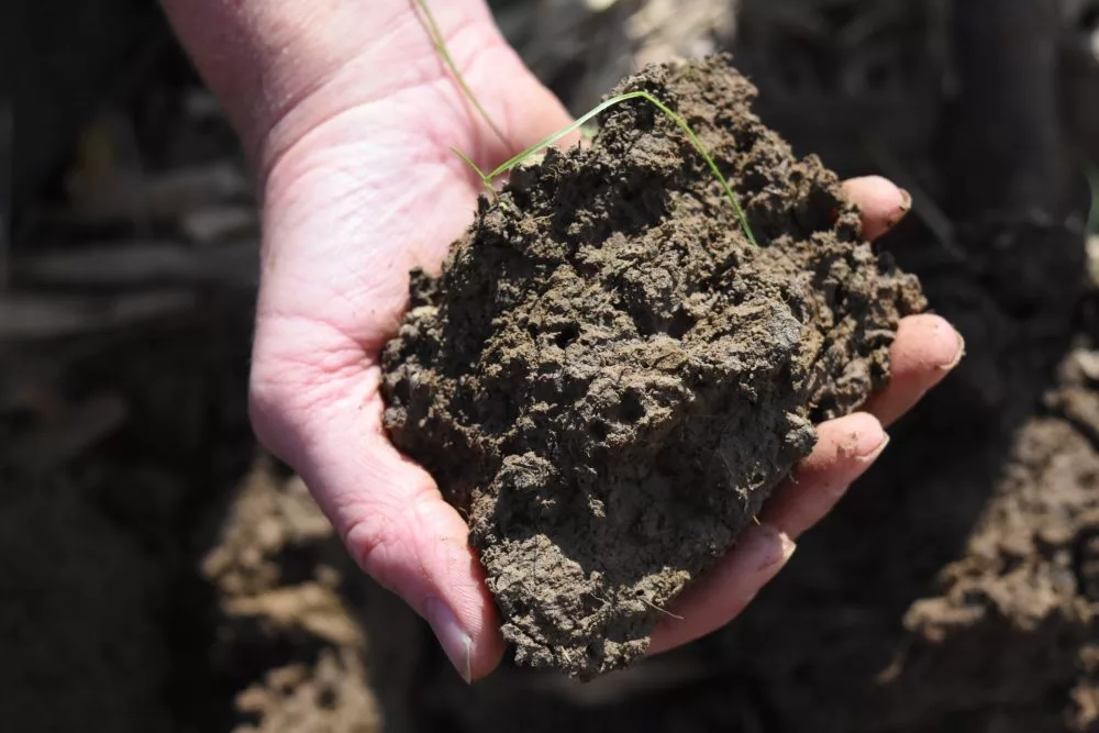 Quality-Soil-from-White-River-bottom-fie-e1676338956758.webp