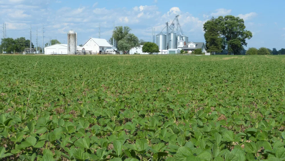 SOYBEAN-FIELD-AND-FARM-HOUSE-IN-JOHNSON-COUNTY