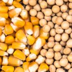 Lessons Learned from a Wild Growing Season