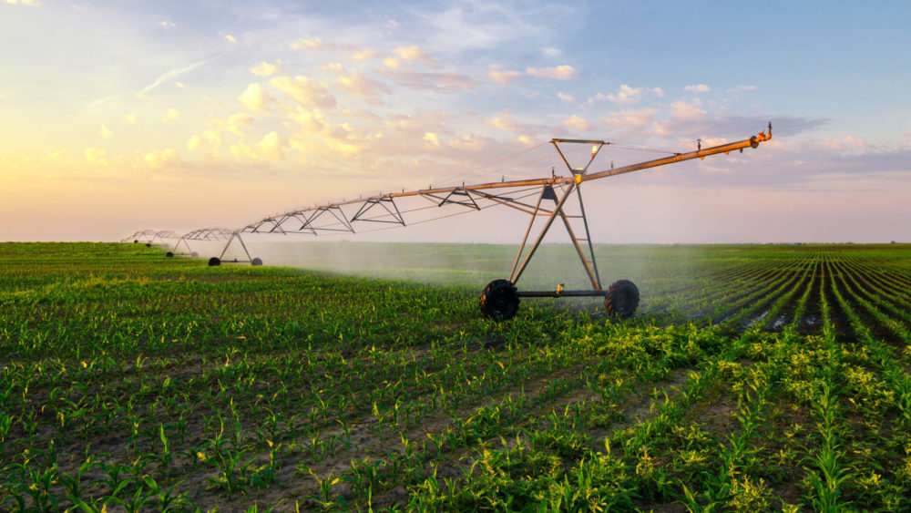 farm-irrigation.jpeg