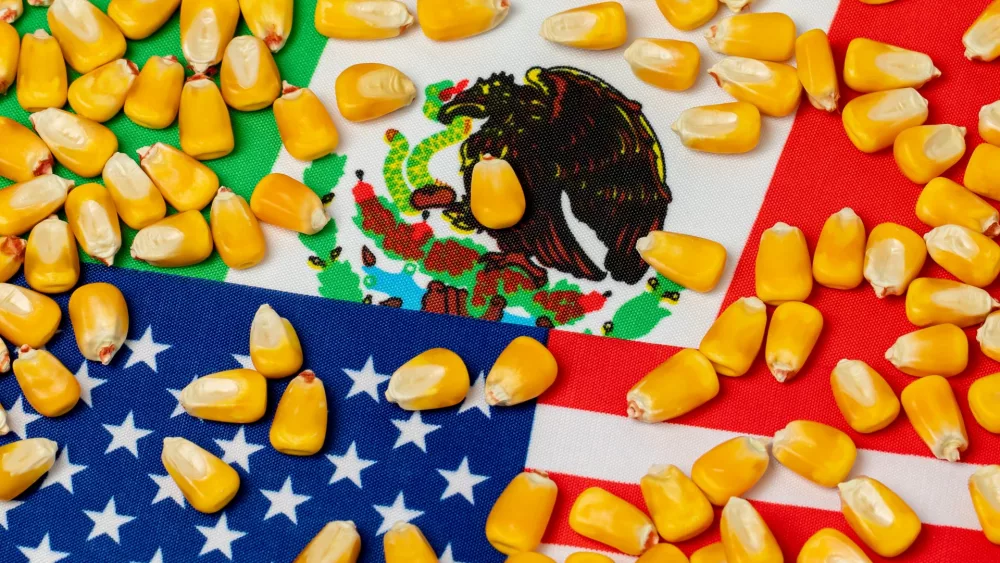 us-mexico-corn