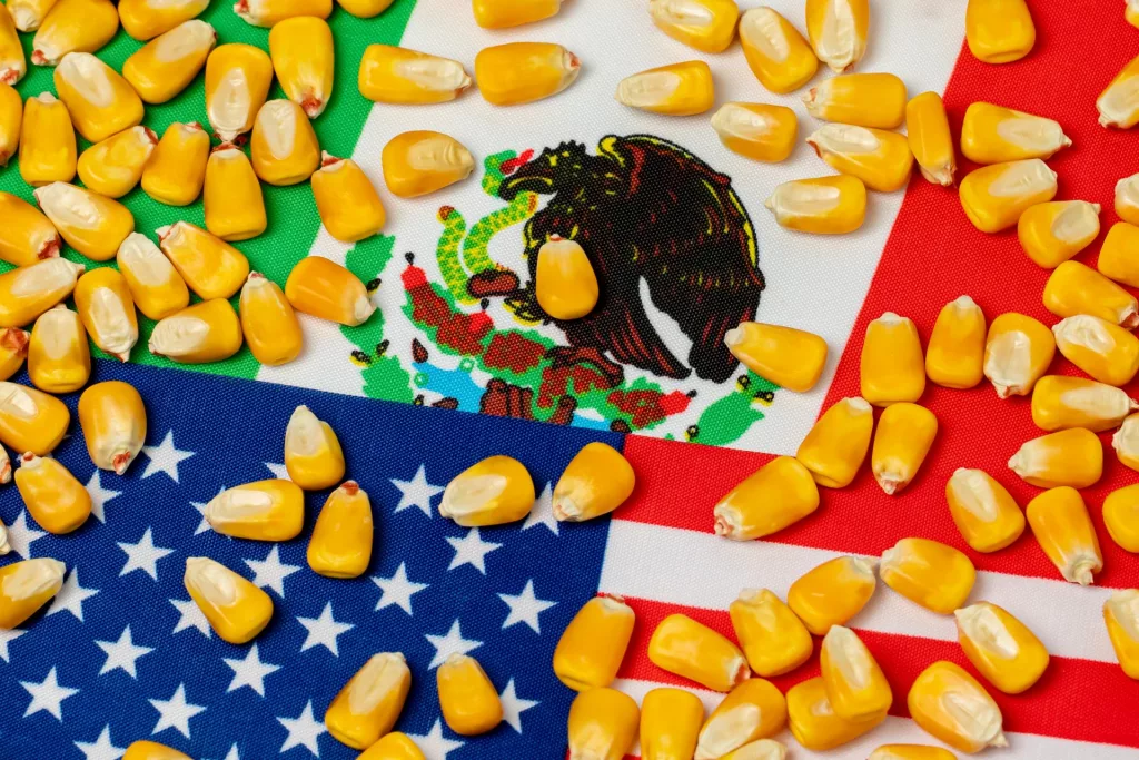 us-mexico-corn