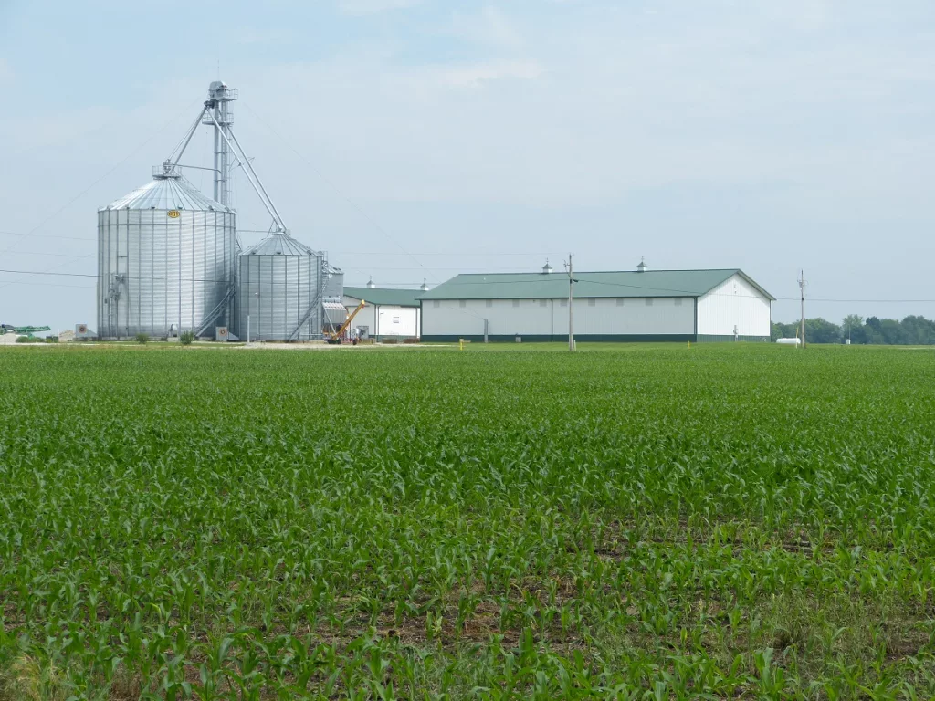 CORN-FIELD-2-IN-SHELBY-COUNTY.webp