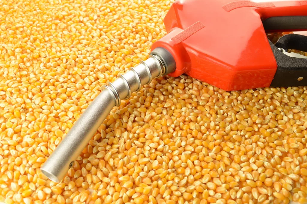 ETHANOL-CORN-MADE-BIOFUEL-RESIZE-FOR-WEB.jpeg