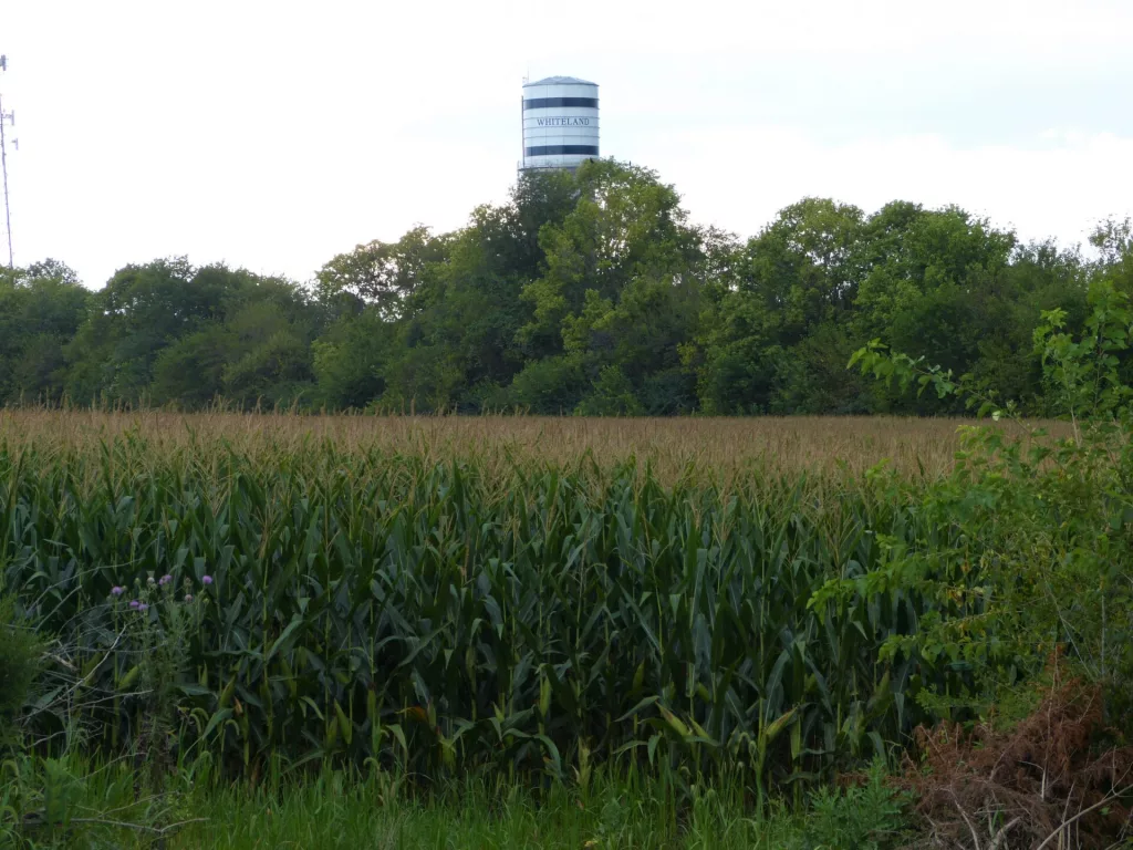 73% of Indiana Corn, 72% of Soybeans Rated Good to Excellent | Hoosier ...