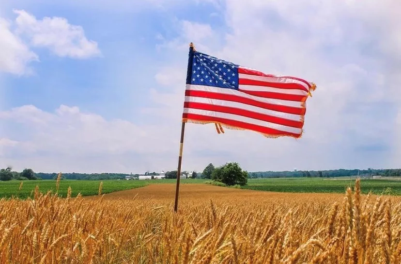 AMERICAN-FARMLAND.webp