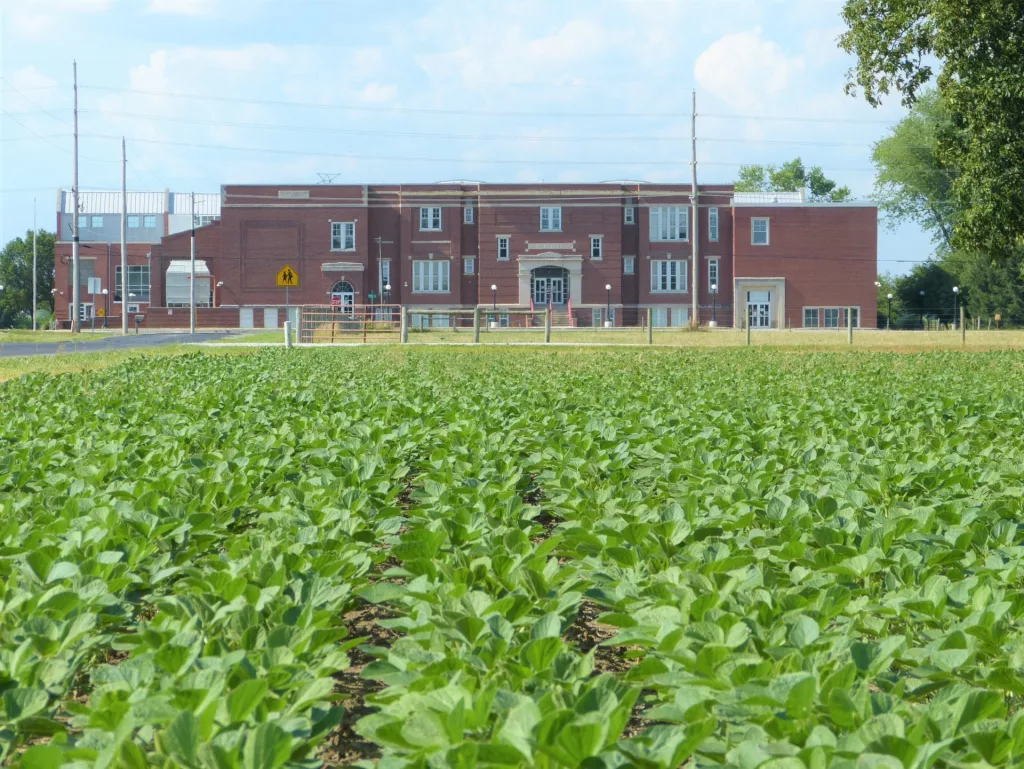 SOYBEAN-FIELD-IN-FRONT-OF-CLARK-ELEMENTARY-SCHOOL-IN-JOHNSON-COUNTY.webp