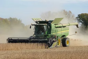 soybean harvest