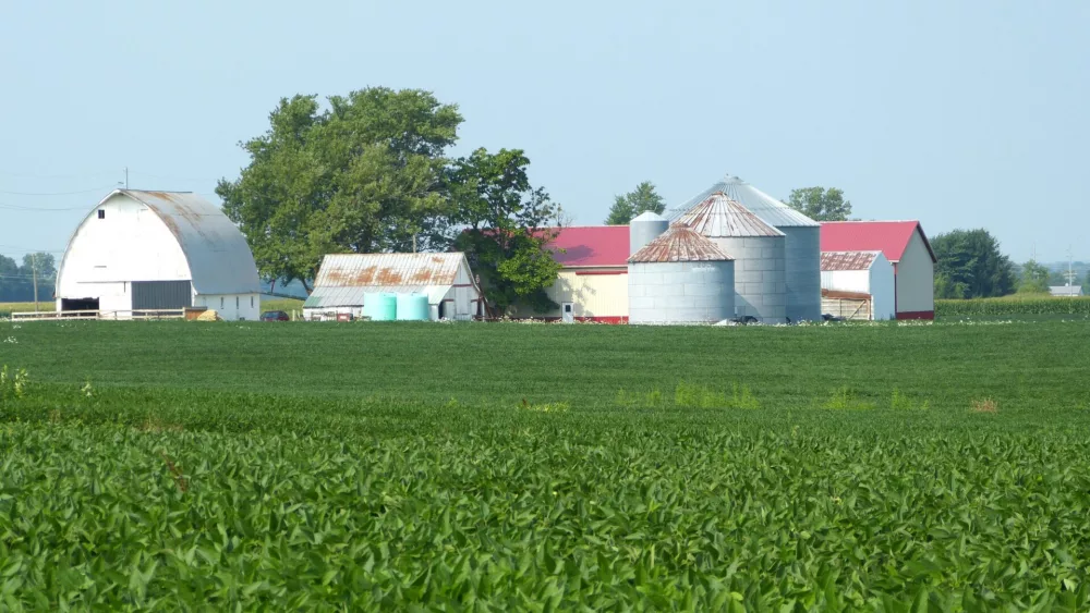 SOYBEAN-FIELD-NEAR-NORTH-MANCHESTER-AUG-23-2023.jpg