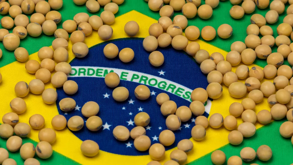 Brazil flag soybeans