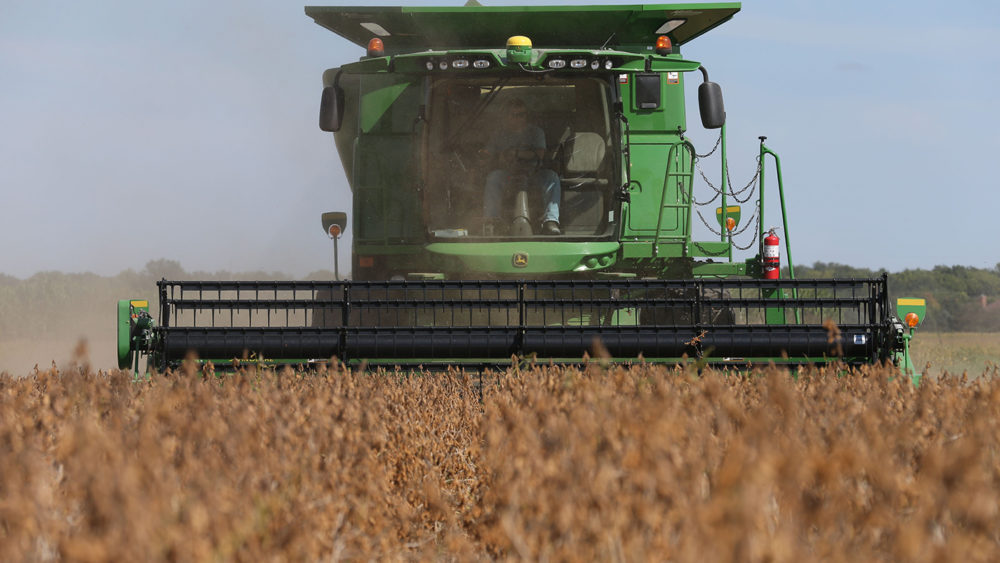 soybean harvest