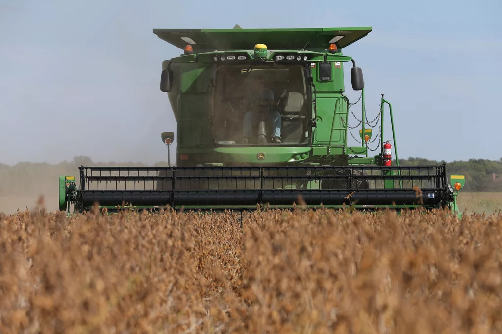 soybean harvest