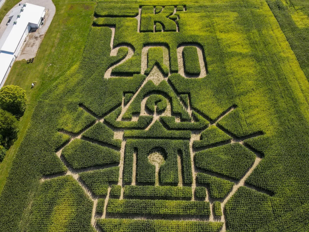 Kelsay Corn Maze