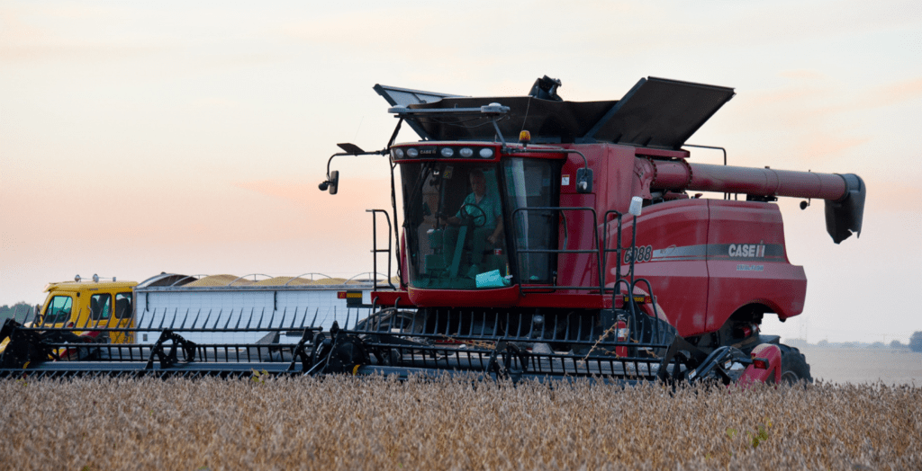 Soybean harvest