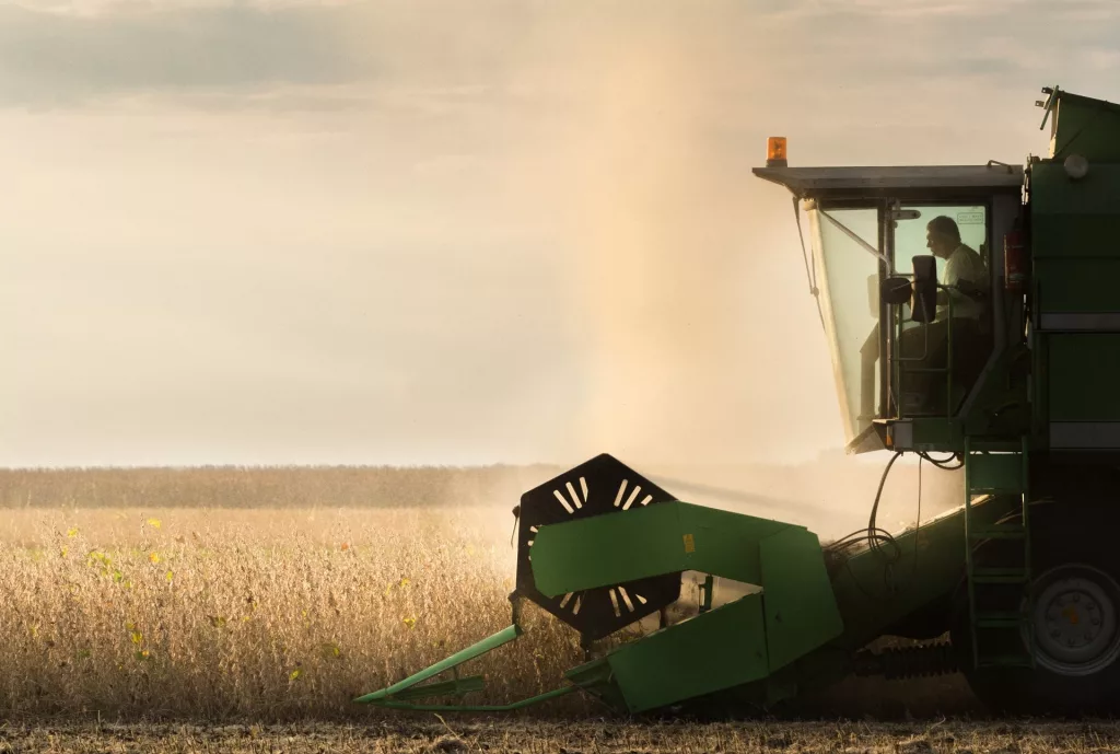 soybean harvest