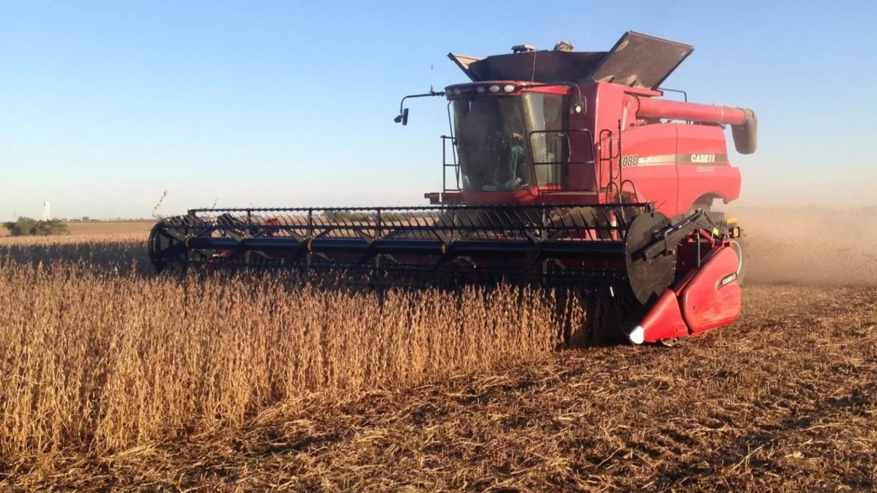 Soybean Harvest Case IH