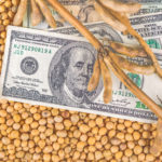 USDA Working on Bridge Payments to Farmers