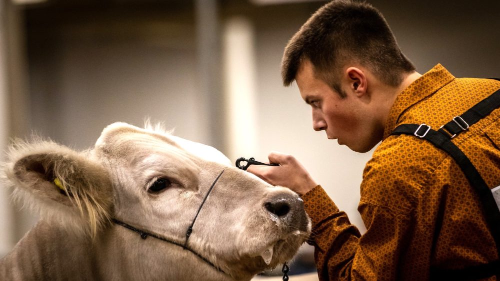 Hoosier Beef Congress