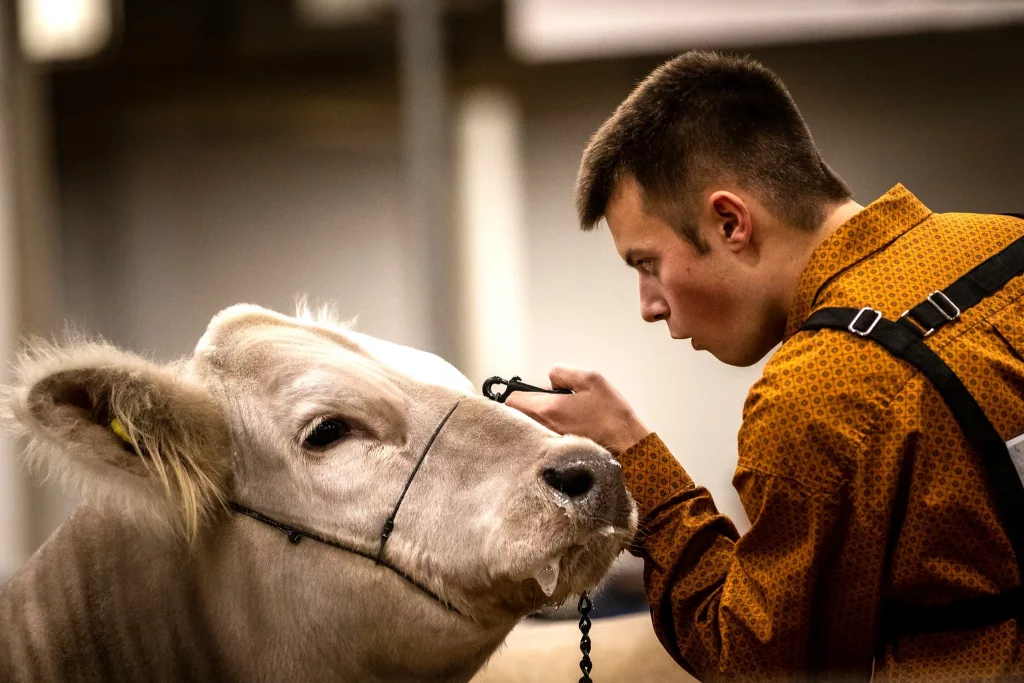 Entries Now Open for the Hoosier Beef Congress Hoosier Ag Today