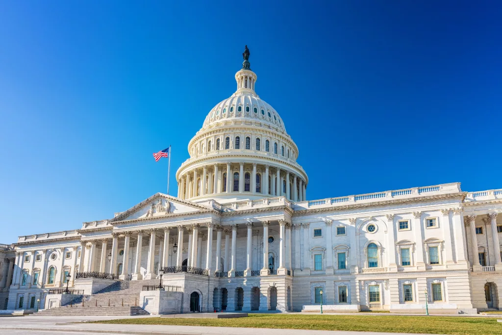 U.S. Capitol Washington D.C.