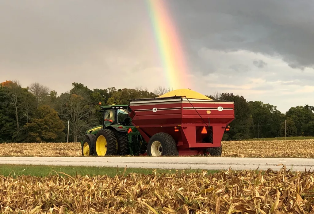 corn harvest rainbow