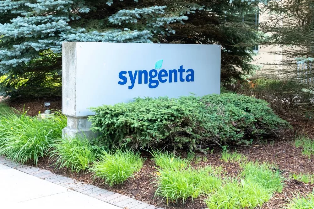 syngenta