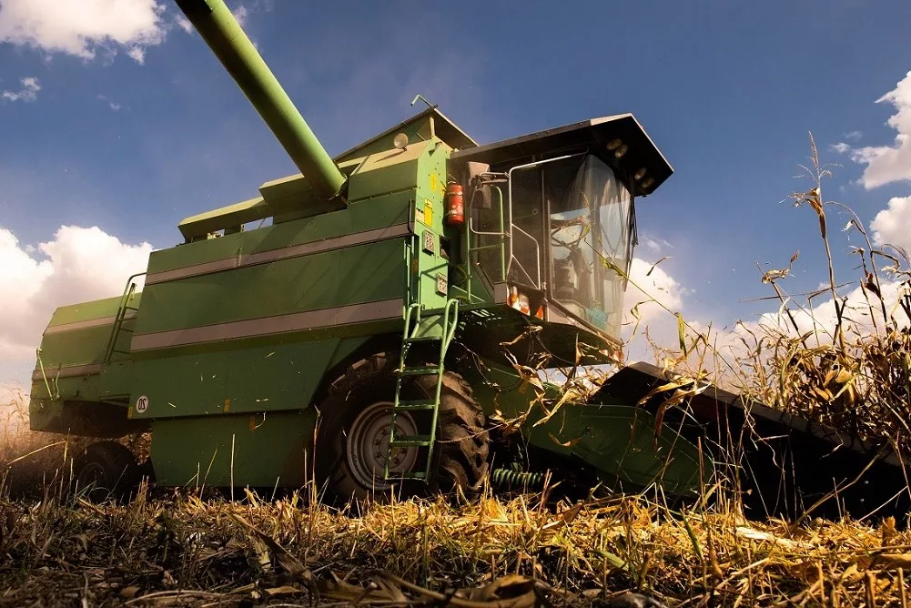 corn harvest combine