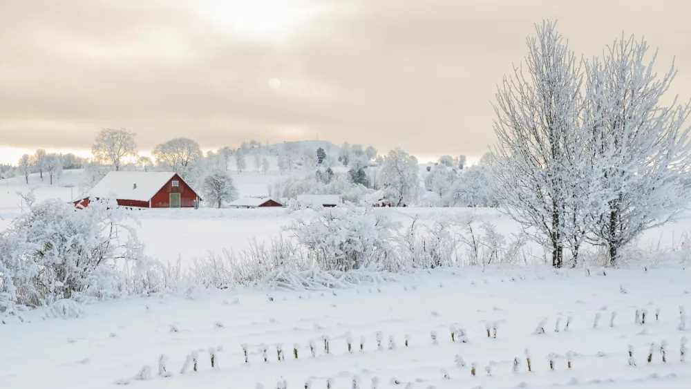 snow-farm-1000