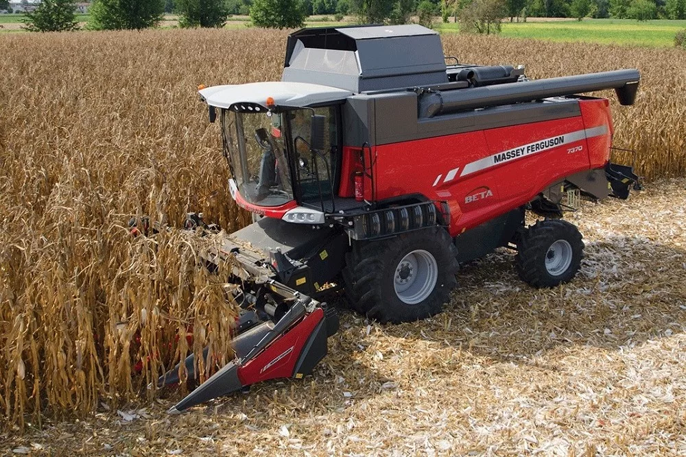 corn harvest massey ferguson combine