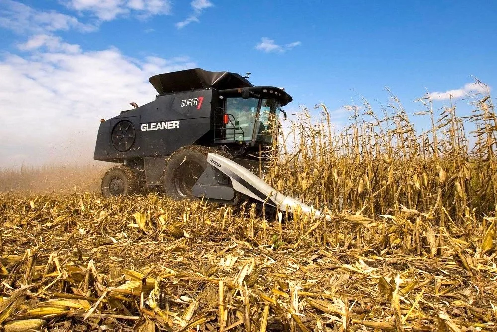 corn harvest gleaner