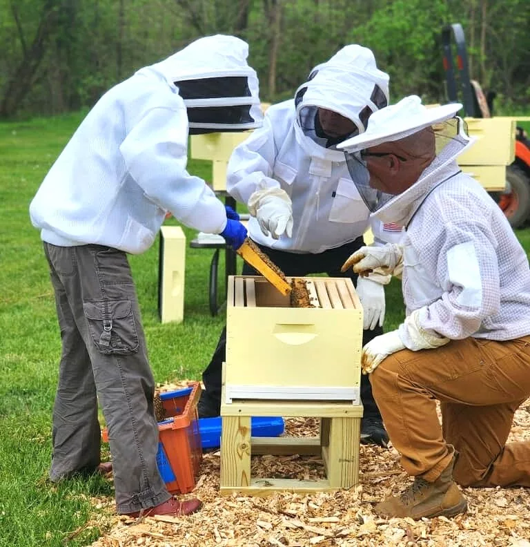 Beekeeping Is All the Rage. These Programs Can Help Veterans Get