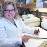 Field Crop Disease Monitoring Resources Available for Indiana’s 2026 Crop Season