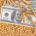 Soybeans Surge as US-China Trade Hopes Spark Biggest Grain Rally in Weeks
