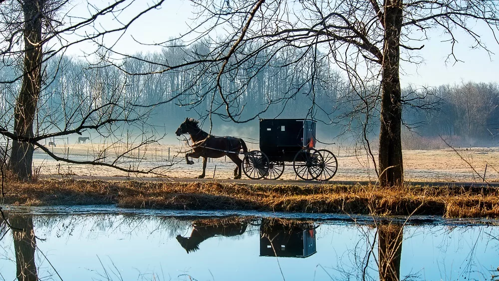 Amish horse buggy warm winter