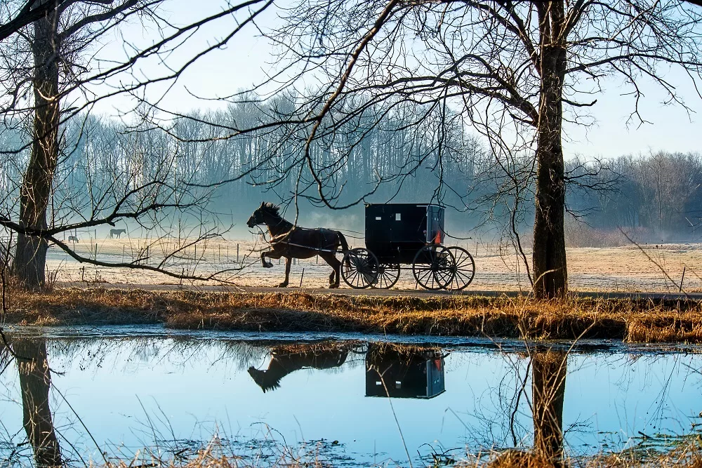 Amish horse buggy warm winter