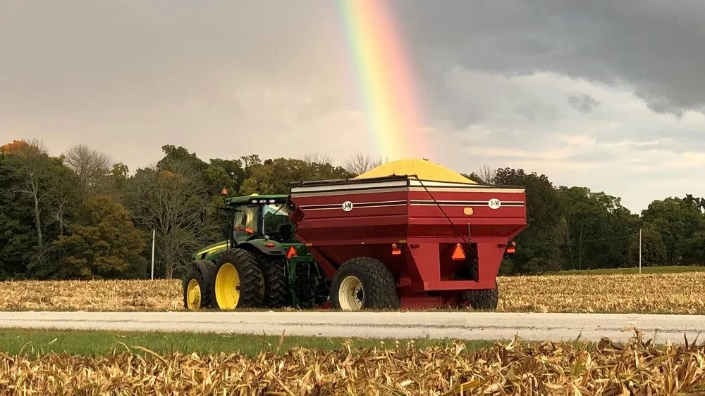 corn rainbow
