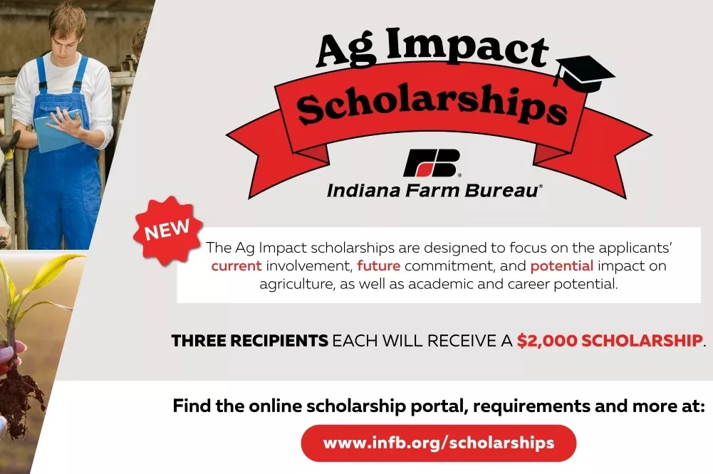 infb scholarship