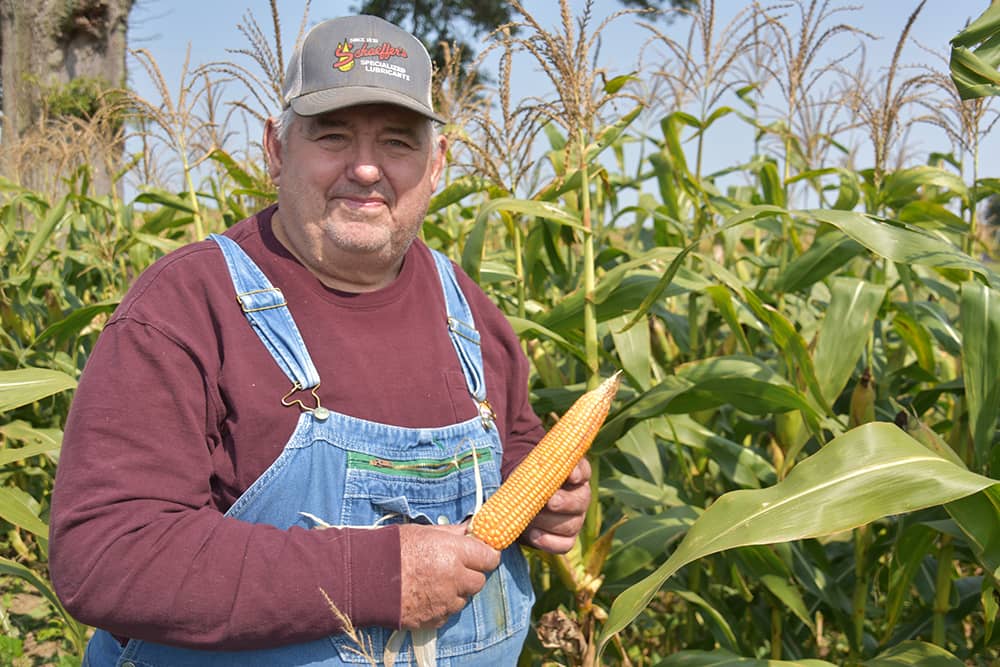 Dave Brandt in Corn Field.