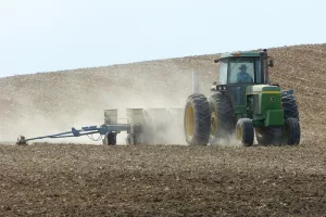 soybean planting