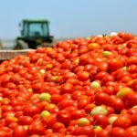 Senate Bill to Expand Food Processing, Distribution and Market Access for Farmers Receives Backing from NASDA